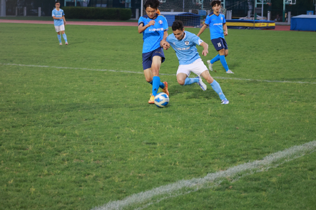 xcsport体育平台