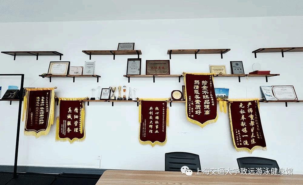 xcsport体育备用网址