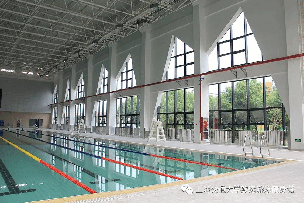 xcsport体育备用网址