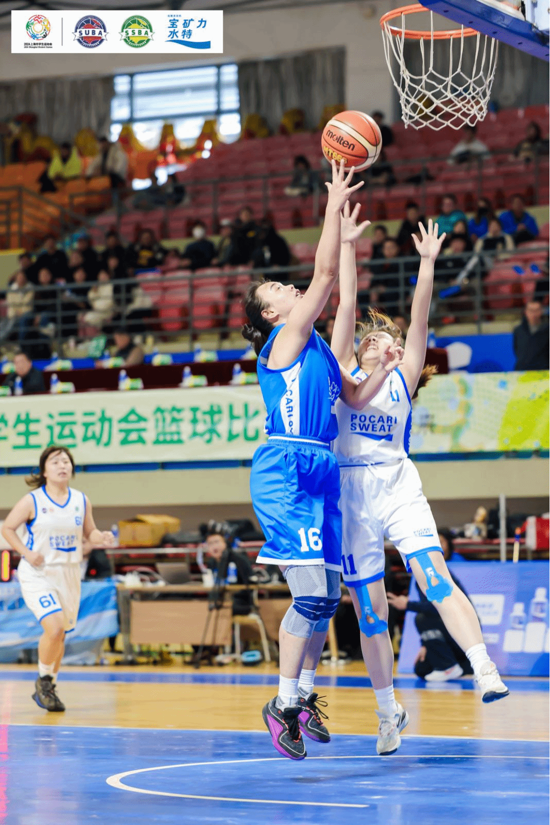 xcsport体育官方指定端