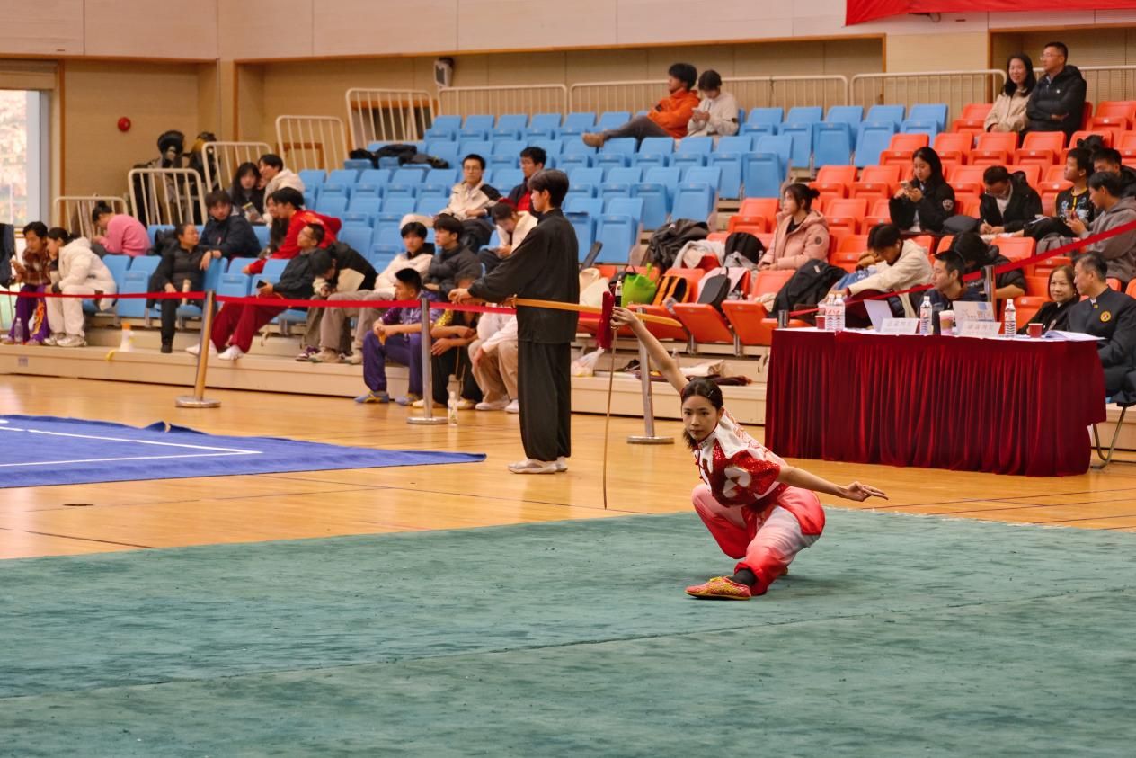 xcsport体育官方线路