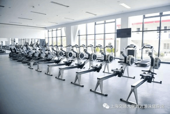 xcsport体育官方线路