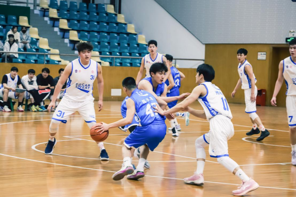 xcsport体育指定入口