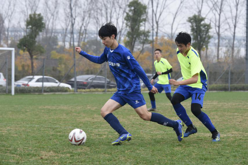 xcsport体育官方线路