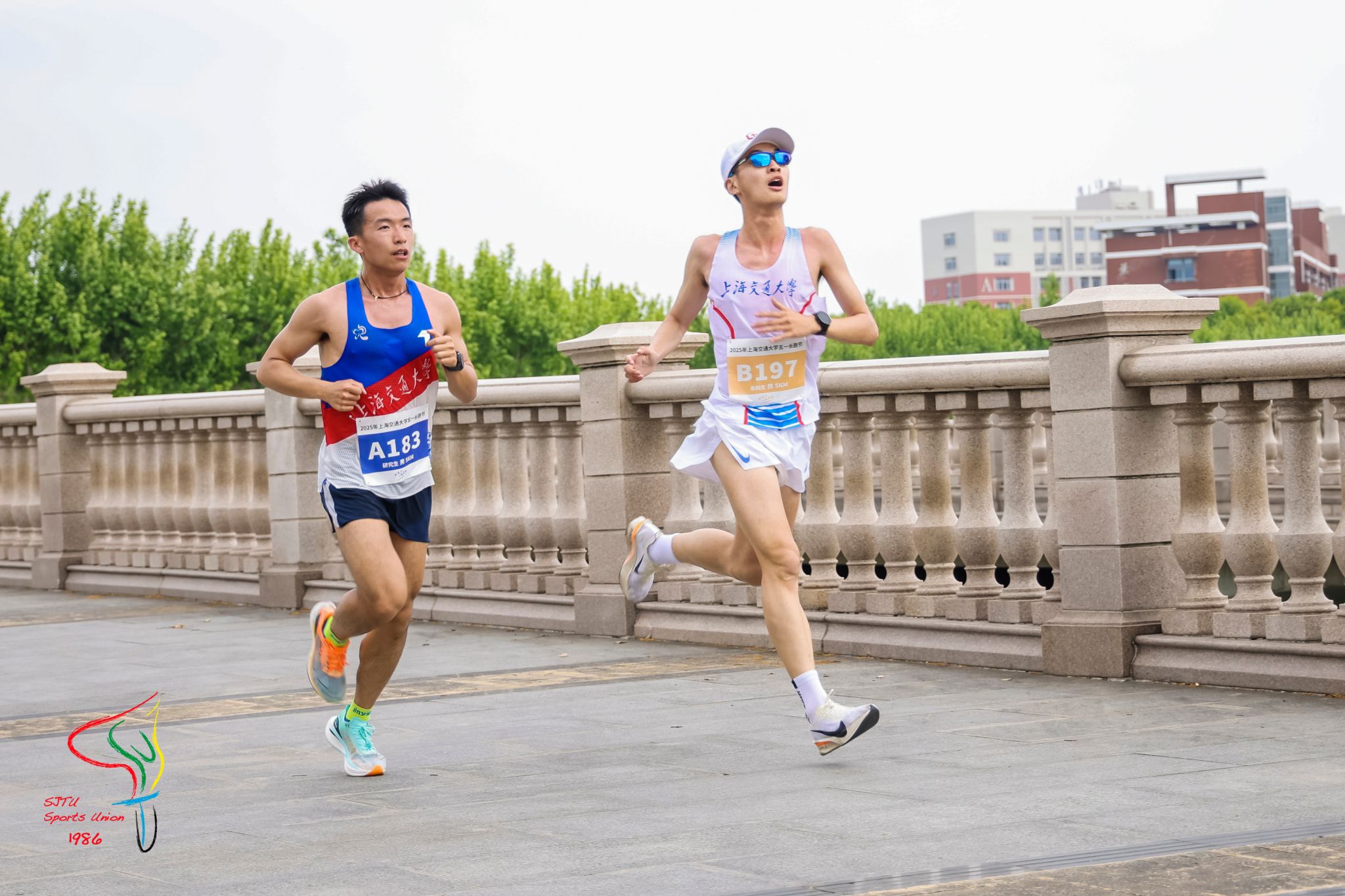 xcsport体育指定入口