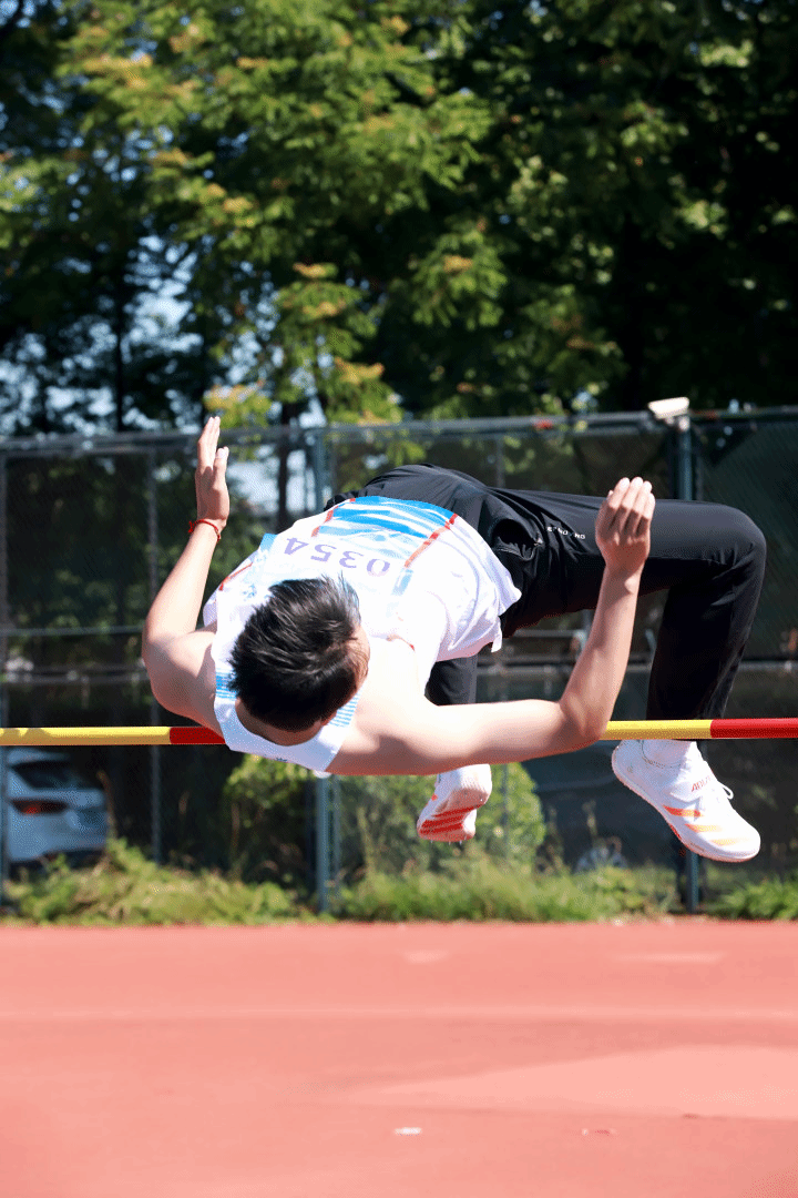 xcsport体育指定入口图片