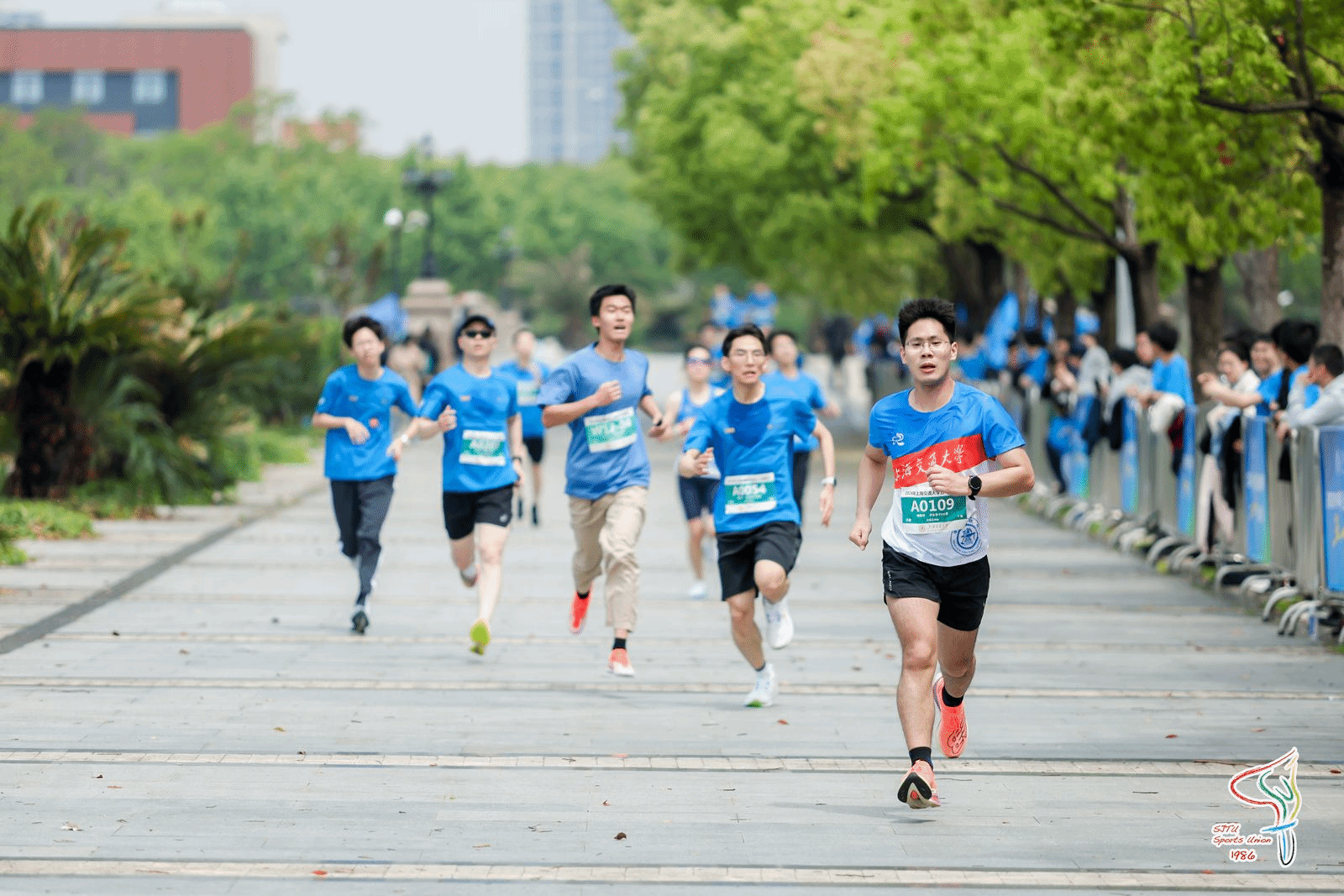 xcsport体育稳定线路