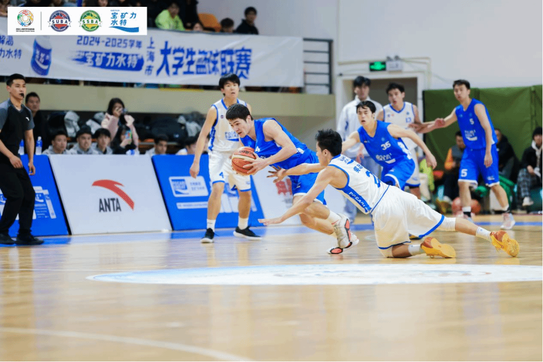 xcsport体育平台