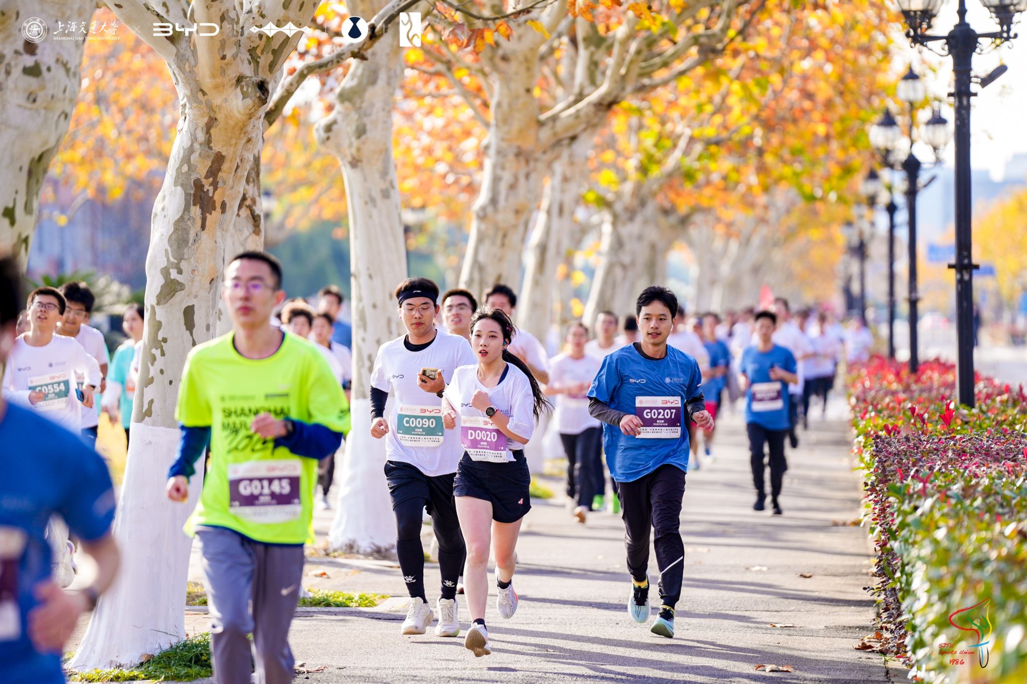 xcsport体育平台
