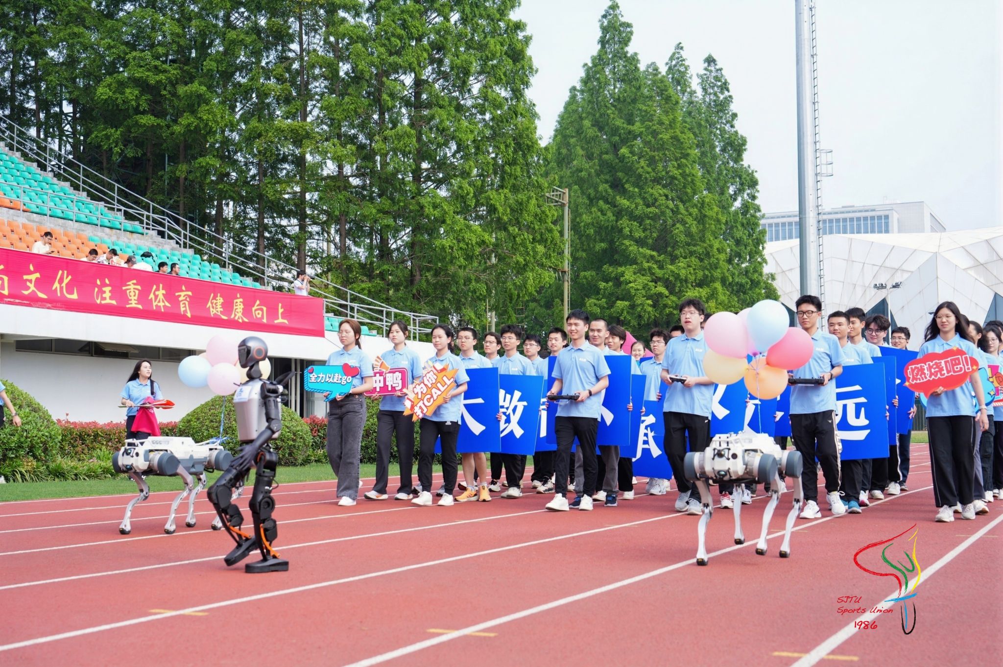 xcsport体育官方线路