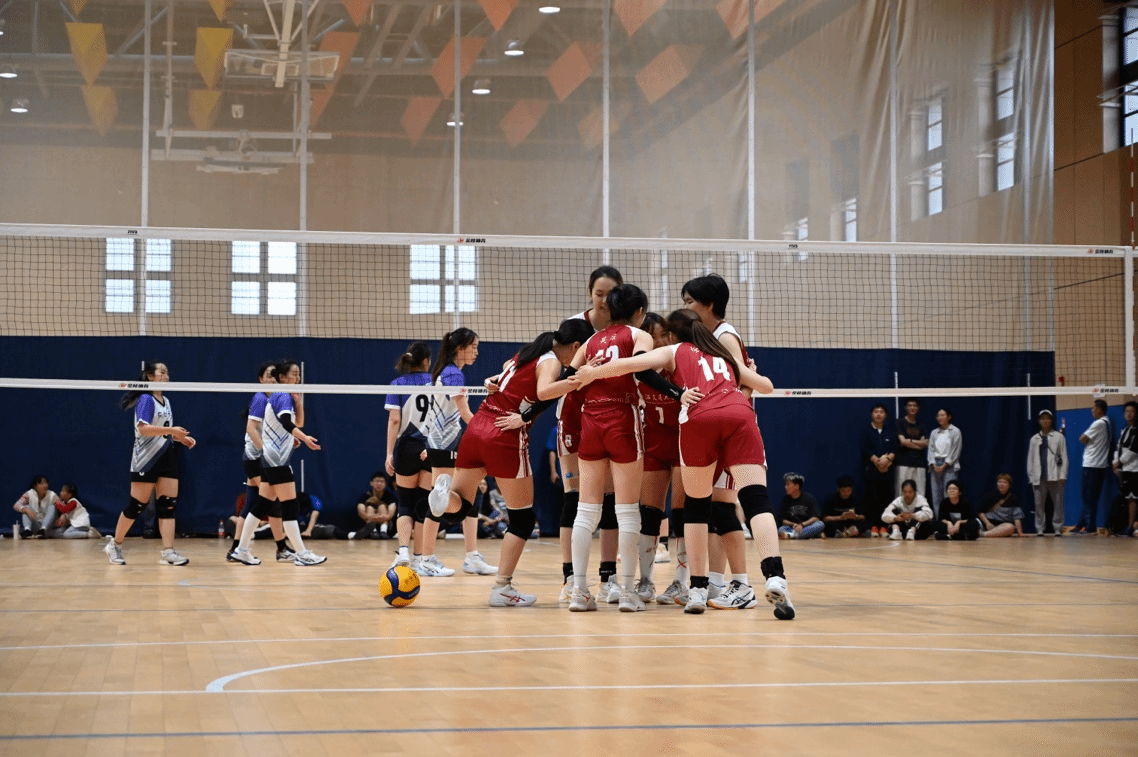 xcsport体育官方指定端