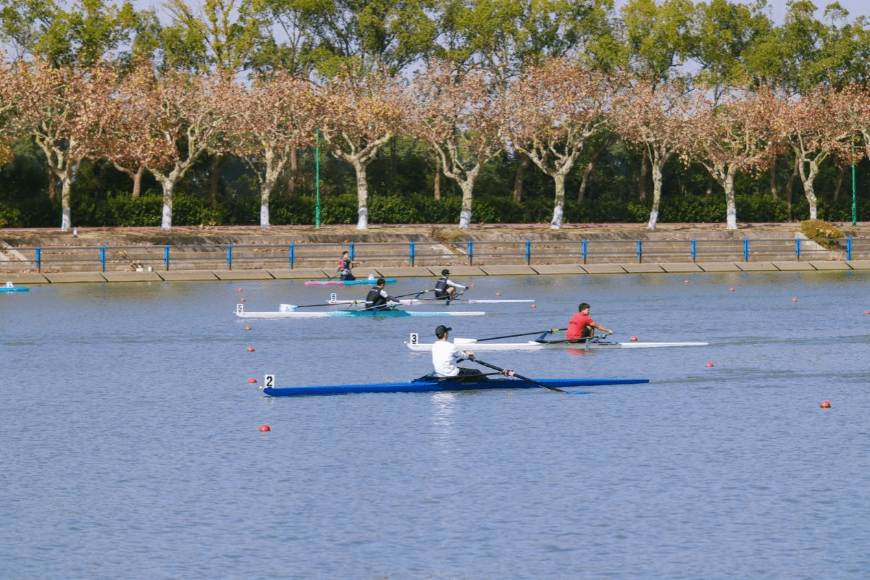 xcsport体育备用网址