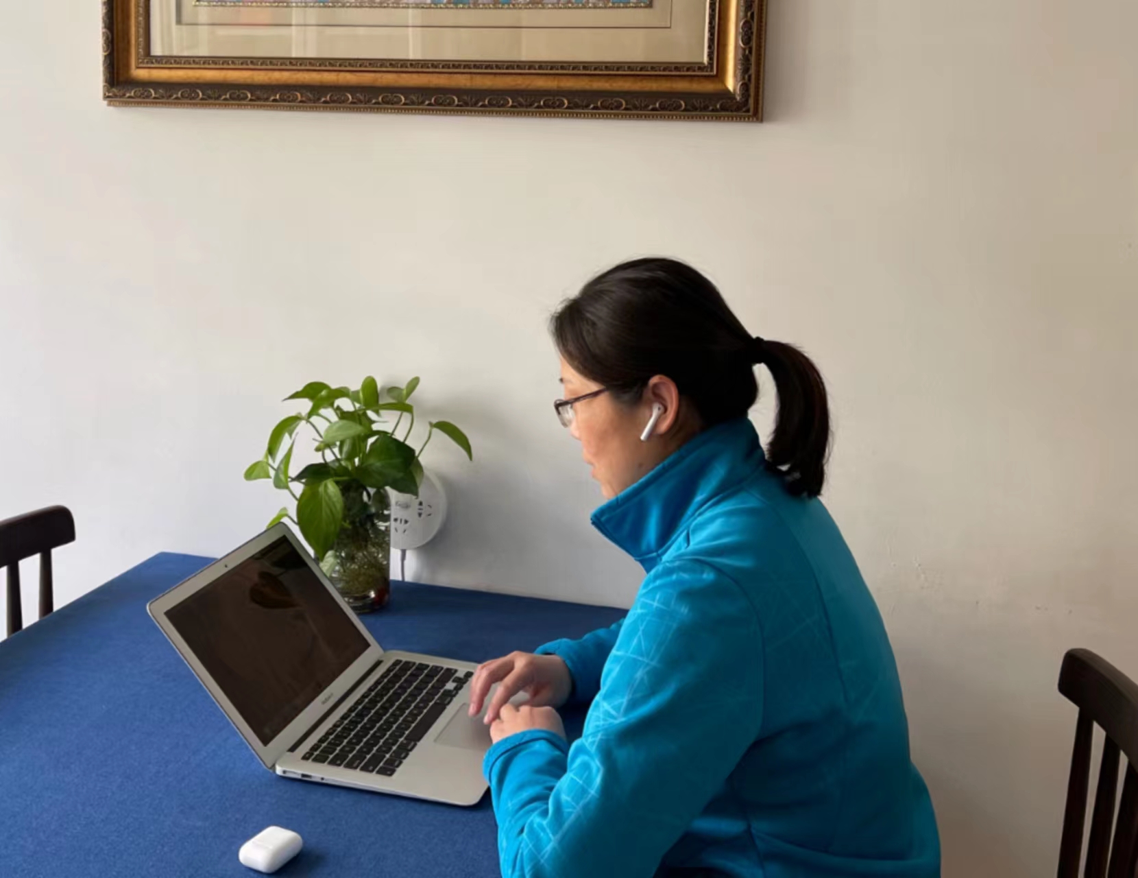 xcsport体育官方指定端