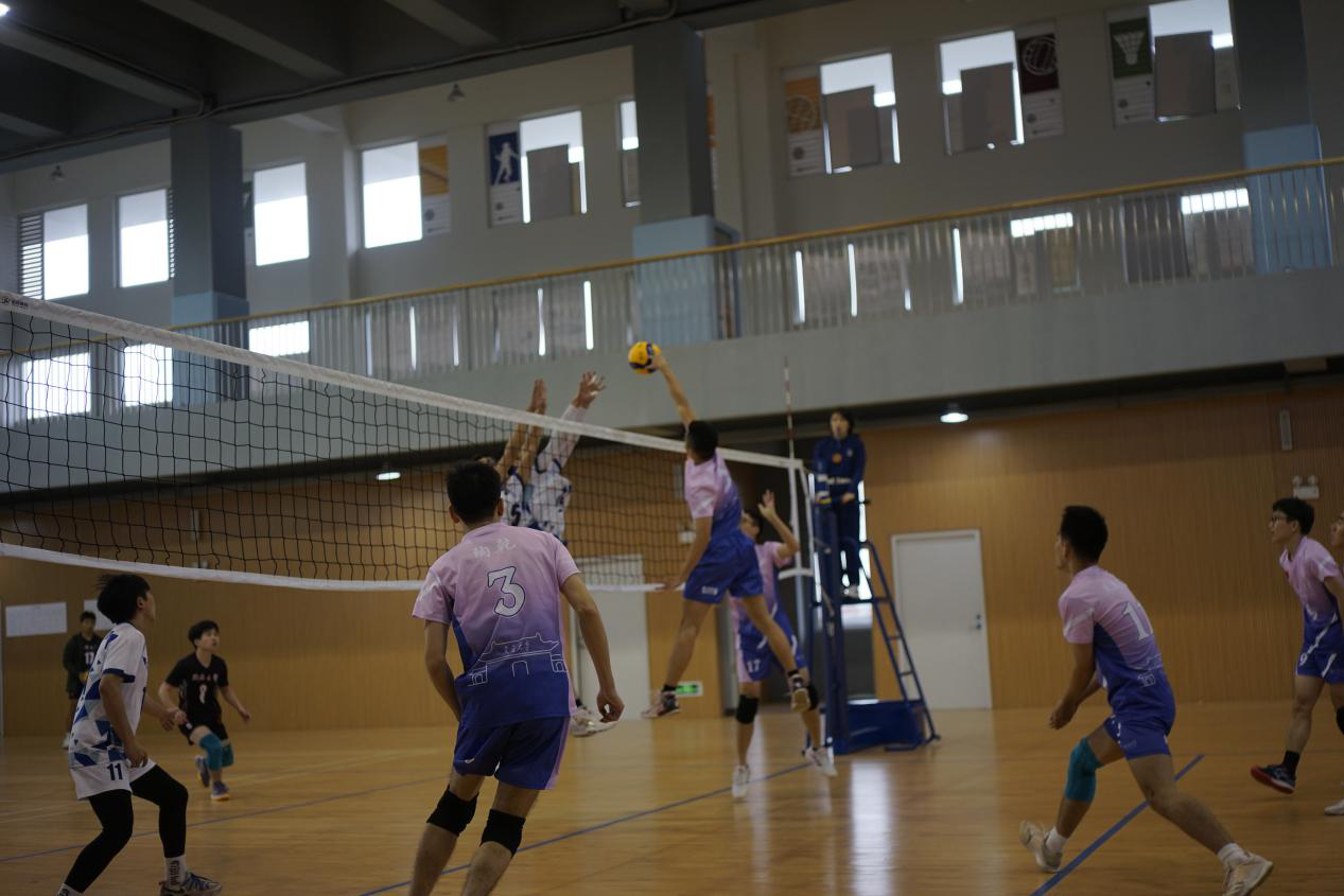 xcsport体育欧洲杯