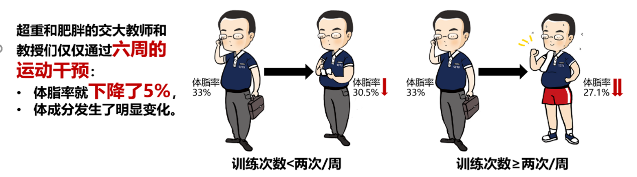 xcsport体育平台