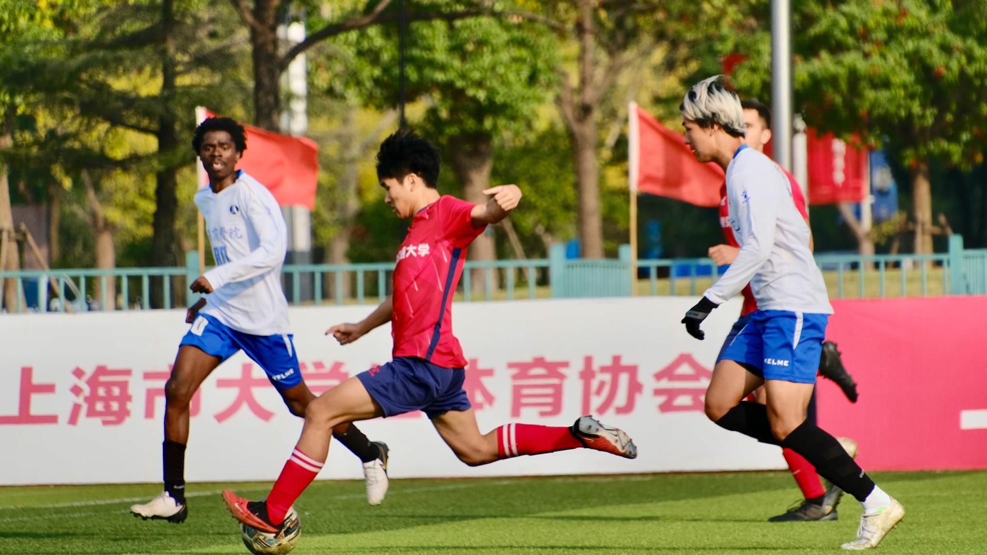 xcsport体育官方线路