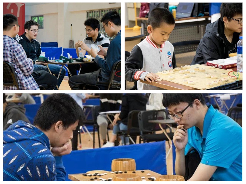xcsport体育直播图片