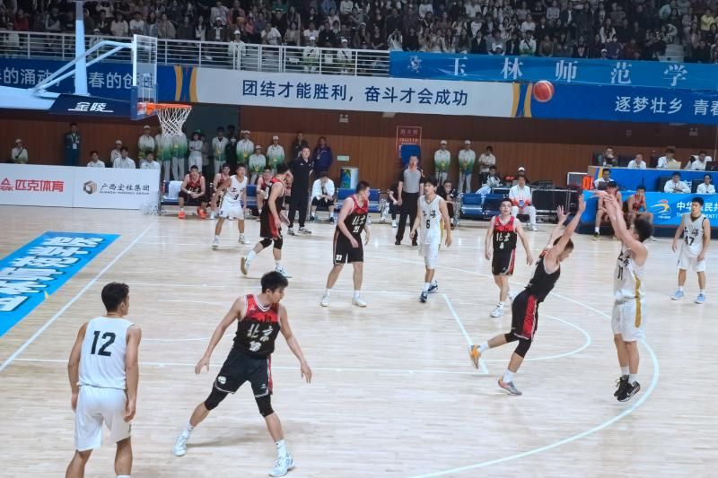 xcsport体育官方线路