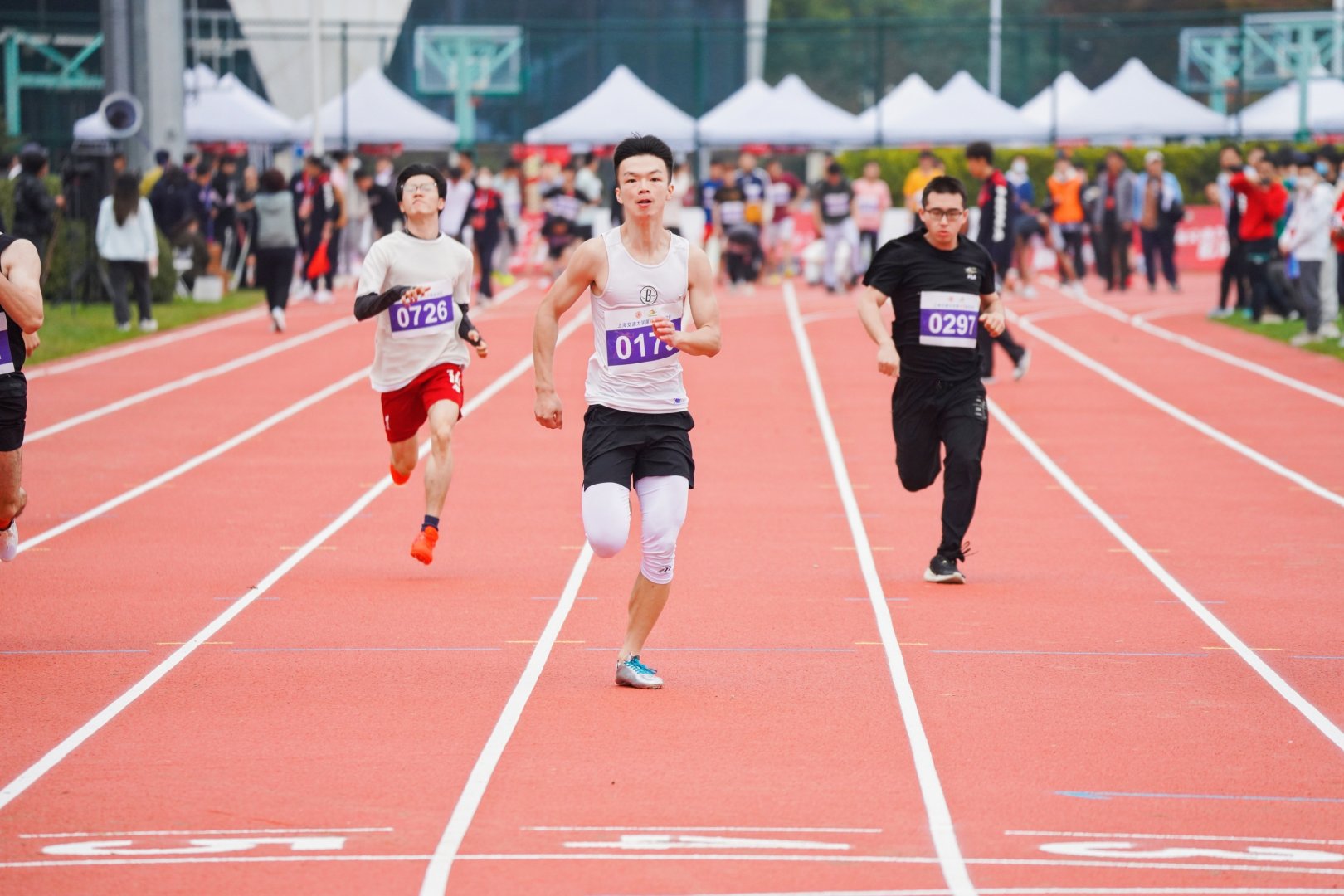 xcsport体育指定通道