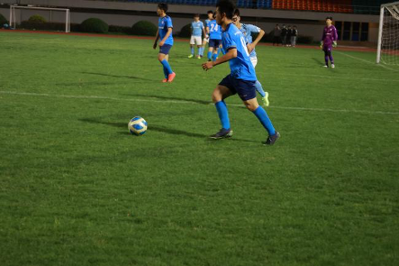 xcsport体育官方线路