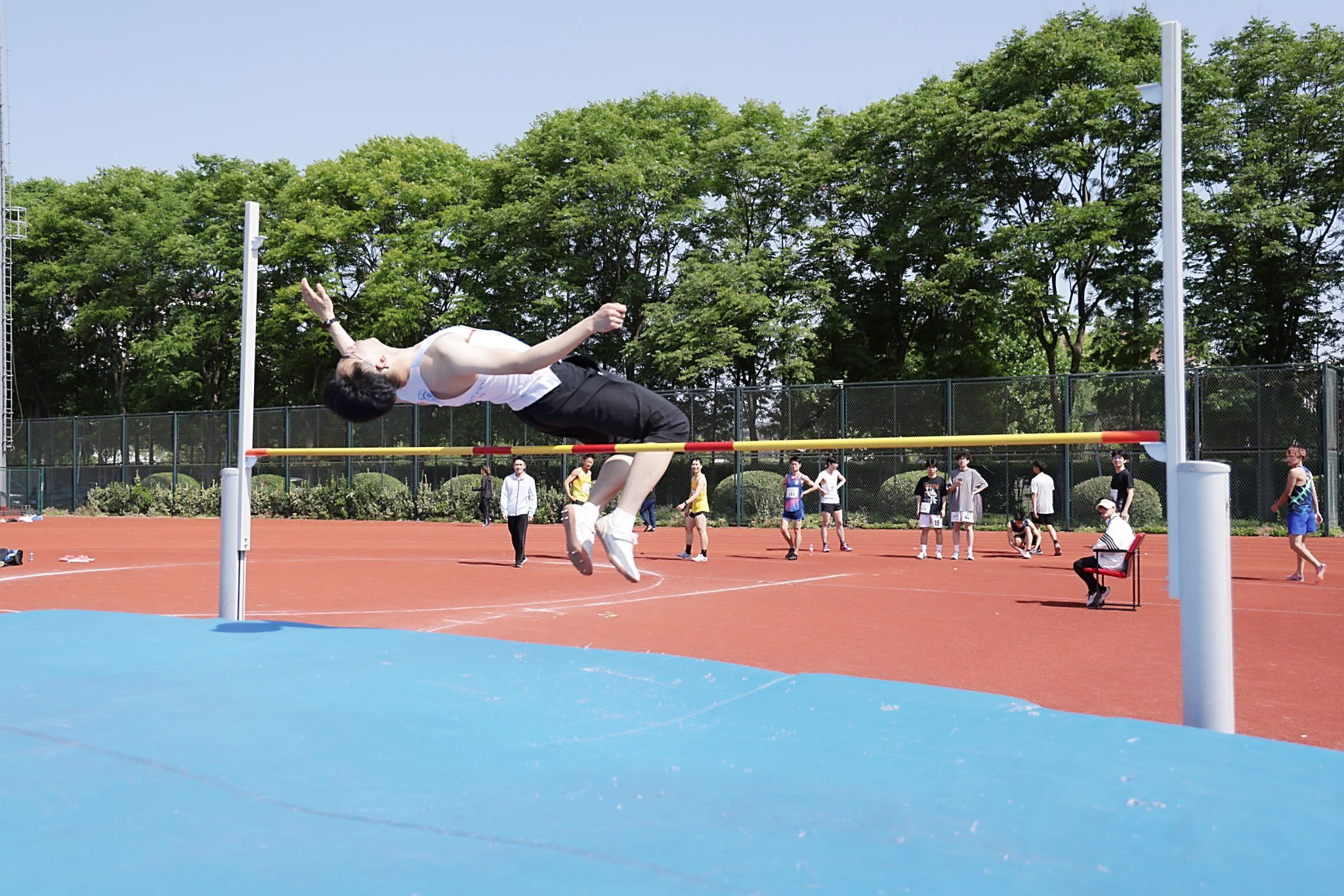 xcsport体育官方指定端