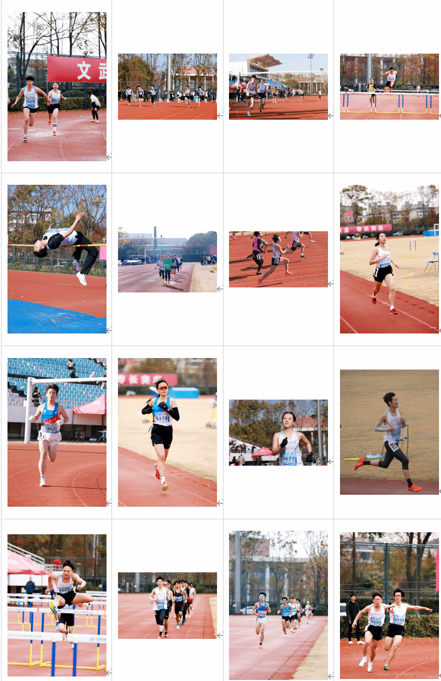 xcsport体育手机版